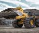 Big cat helps meet customer needs in China